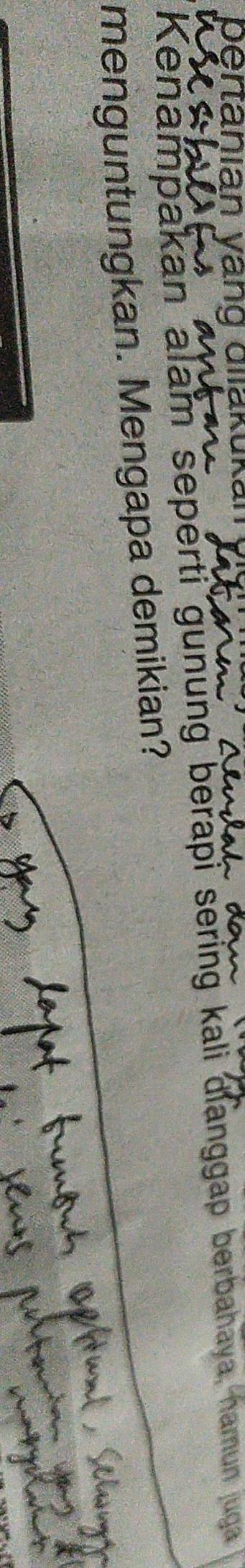 pentanian vang Gliakuka 
Kenampakan alam seperti gunung berapi sering kali dianggap berbahaya, hamun juga 
menguntungkan. Mengapa demikian?