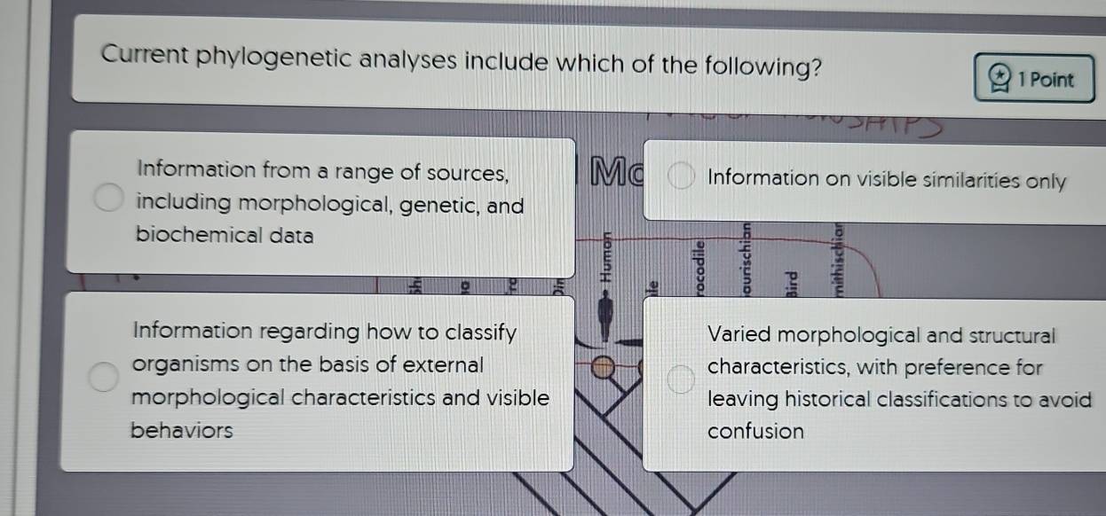 Current phylogenetic analyses include which of the following?
1 Point
Information from a range of sources, Mc Information on visible similarities only
including morphological, genetic, and
biochemical data
E :
Information regarding how to classify Varied morphological and structural
organisms on the basis of external characteristics, with preference for
morphological characteristics and visible leaving historical classifications to avoid
behaviors confusion