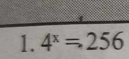 4^x=256