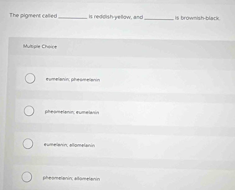 The pigment called _is reddish-yellow, and _is brownish-black.
Multiple Choice
eumelanin; pheomelanin
pheomelanin; eumelanin
eumelanin; allomelanin
pheomelanin; allomelanin