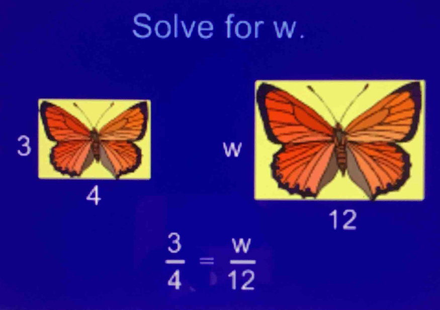 Solve for w.
 3/4 = w/12 