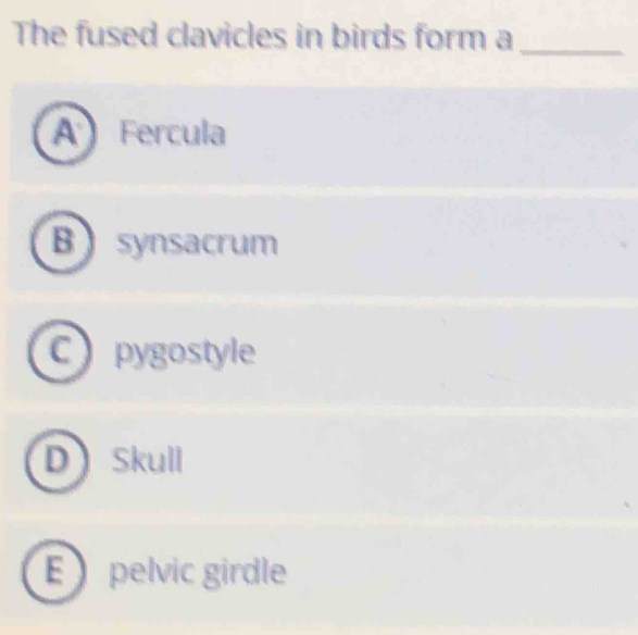 The fused clavicles in birds form a_
A Fercula
B synsacrum
C) pygostyle
D Skull
E pelvic girdle