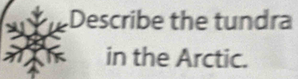 Describe the tundra 
in the Arctic.