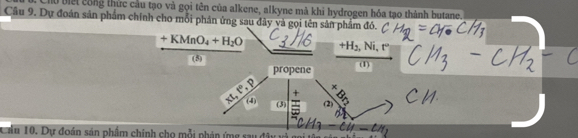 biết công thức cầu tạo và gọi tên của alkene, alkyne mà khi hydrogen hóa tạo thành butane. 
Câu 9. Dự đoán sản phẩm chính cho mỗi phản ứng sau đây và gọi tên sân phẩm đó.
+KMnO_4+H_2O +H_2, Ni, r°
(5) (1) 
propene 
1, p
x 
x^ (4) 
(3) (2) 
a 
Châu 10. Dự đoán sản phẩm chính cho mỗi phán ứmg sau đây và Cl1-∠ h