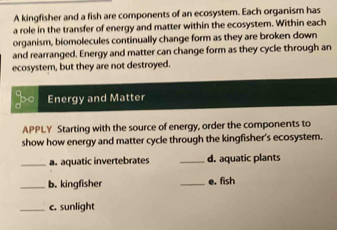 A kingfisher and a fish are components of an ecosystem. Each organism has 
a role in the transfer of energy and matter within the ecosystem. Within each 
organism, biomolecules continually change form as they are broken down 
and rearranged. Energy and matter can change form as they cycle through an 
ecosystem, but they are not destroyed. 
go Energy and Matter 
APPLY Starting with the source of energy, order the components to 
show how energy and matter cycle through the kingfisher’s ecosystem. 
_a. aquatic invertebrates _d. aquatic plants 
_b. kingfisher _e. fish 
_c. sunlight