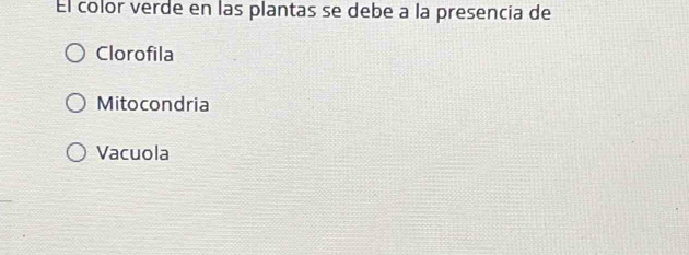 El color verde en las plantas se debe a la presencia de
Clorofila
Mitocondria
Vacuola