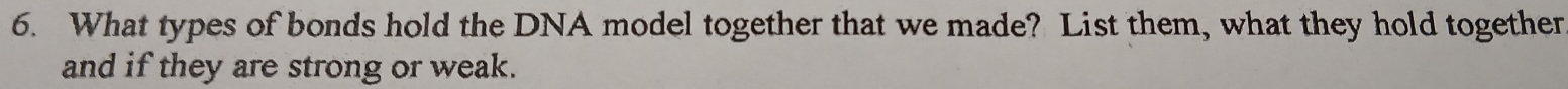 What types of bonds hold the DNA model together that we made? List them, what they hold together 
and if they are strong or weak.