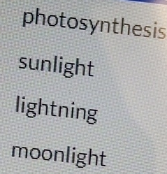 photosynthesis 
sunlight 
lightning 
moonlight