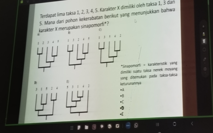 Terdapat lima taksa 1, 2, 3, 4, 5. Karakter X dimiliki oleh taksa 1, 3 dan
5. Mana dari pohon kekerabatan berikut yang menunjukkan bahwa
karakter X merupakan sinapomorfi*?
B)
omorfi = karakteristik yang
i suatu taksa nenek moyang
D) E yang ditemukan pada taksa-taksa
5 J / keturunannya
3