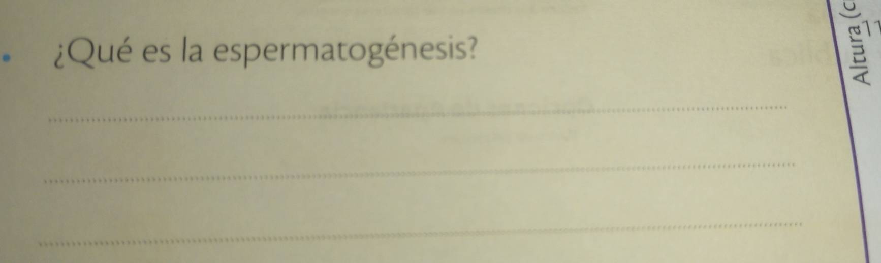 ¿Qué es la espermatogénesis? 
_ 
_ 
_