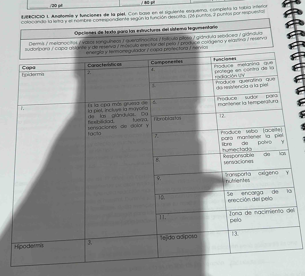 Anatomía y funciones de la piel. Con base en el siguiente esquera, completa la tabla inferion 
colocando la letra y el nombre correspondiente según la función descrita. (26 puntos, 2 puntos por respuesta) 
Opciones de texto para las estructuras del sistema tegumentario 
Dermis / melanocitos / vasos sanguíneos / queratinocitos / folículo piloso / glándula sebácea / glándula 
pelo / produce colágeno y elastina / reserva 
l