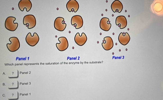 A. ? Panel 2
B. ? Panel 3
C. ? Panel 1