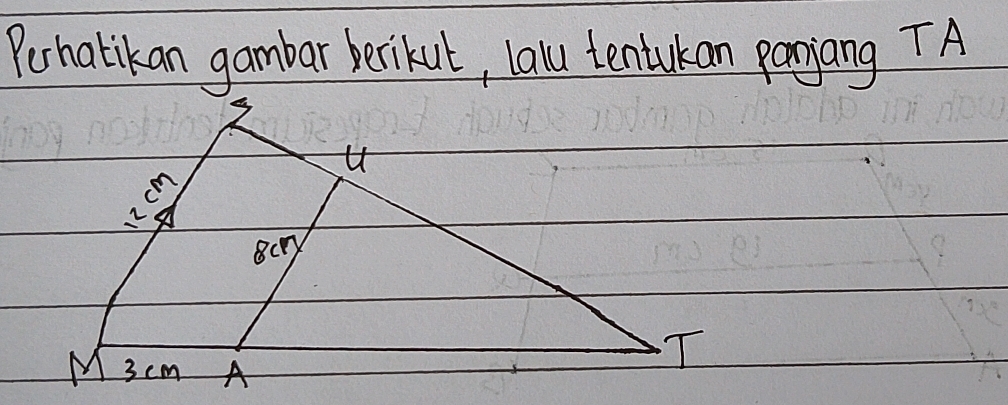 Perhatikan gambar berikut, lalu tentukan panjang TA