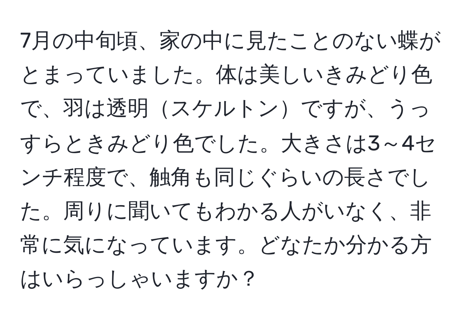 7月の中旬頃、家の中に見たことのない蝶がとまっていました。体は美しいきみどり色で、羽は透明スケルトンですが、うっすらときみどり色でした。大きさは3～4センチ程度で、触角も同じぐらいの長さでした。周りに聞いてもわかる人がいなく、非常に気になっています。どなたか分かる方はいらっしゃいますか？