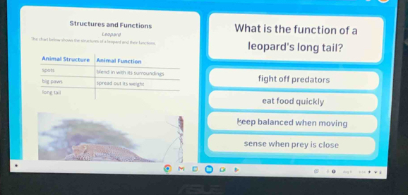 Solved: Structures and Functions What is the function of a Leopard The ...