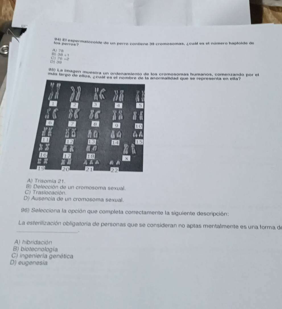 El espermatozoide de un perro contiene 39 cromosomas, ¿cuál es el número haploide de
tos perros?
A78
8 38+1
76+2
D) 39
95) La imagen muestra un ordenamiento de los crómósomás humaños, comenzando por el
más largo de ellos, ¿cual es el nombre de la anormalidad que se representa en ella?
A) Trisomía 21.
B) Delección de un cromosoma sexual.
C) Traslocación.
D) Ausencia de un cromosoma sexual.
96) Selecciona la opción que completa correctamente la siguiente descripción:
_
La esterilización obligatoria de personas que se consideran no aptas mentalmente es una forma de
.
A) hibridación
B) biotecnología
C) ingeniería genética
D) eugenesia