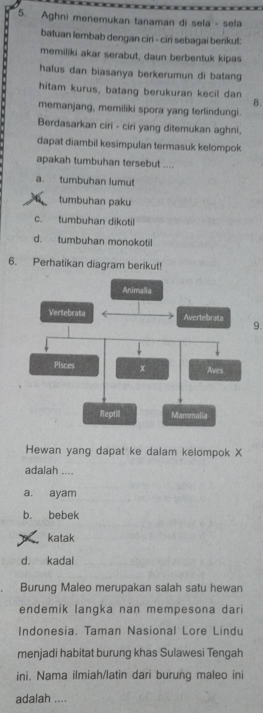 Aghni menemukan tanaman di sela - sela
batuan lembab dengan ciri - ciri sebagai berikut:
memiliki akar serabut, daun berbentuk kipas
halus dan biasanya berkerumun di batang
hitam kurus, batang berukuran kecil dan
8.
memanjang, memiliki spora yang terlindungi.
Berdasarkan ciri - ciri yang ditemukan aghni,
dapat diambil kesimpulan termasuk kelompok
apakah tumbuhan tersebut ....
a. tumbuhan lumut
tumbuhan paku
c. tumbuhan dikotil
d. tumbuhan monokotil
6. Perhatikan diagram berikut!
9.
Hewan yang dapat ke dalam kelompok X
adalah ....
a. ayam
b. bebek
katak
d. kadal
Burung Maleo merupakan salah satu hewan
endemik langka nan mempesona dari
Indonesia. Taman Nasional Lore Lindu
menjadi habitat burung khas Sulawesi Tengah
ini. Nama ilmiah/latin dari burung maleo ini
adalah ....