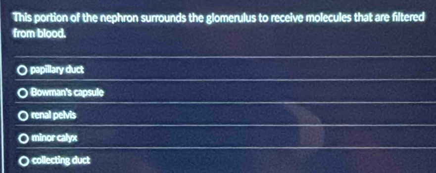 This portion of the nephron surrounds the glomerulus to receive molecules that are filtered
from blood.
papillary duct
Bowman's capsule
renal pelvis
minor calyx
collecting duct