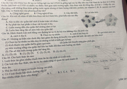 Hình 2 C. Hành 3.
Câu 14. Các nhà khoa học đã tạo ra Giống ngô rau lai LVN23 là giống ngô rau lai đầu tiên của Việt Nam do lai đơn từ 2 dòng
thuần 244/2649 và LV2D có nhiều ưu điểm: thời gian sinh trường ngân, chịu được mật độ tròng đây, có tỉ lệ 2 - 3 bắp cây cao,
cho năng suất không thua kém giống nước ngoài nhưng có hàm lượng chất khô, protein, các vitamin C, B1. B- caroten cao hơn
hần. Đây là thành tựu của phương pháp nào?
A. Công nghệ gene. B. Công nghệ tế bào.
Câu 15. Khi nói về nhân tố tiến hóa được mô tả ở hình bên, phát biểu nào sau đây C. Gây đột biến.
đúng?
A. Xảy ra khi các quần thể cách li hoàn toàn với nhau.
B. Sự phát tán hạt phấn ở thực vật là một ví dụ.
C. Luôn mang đến cho quần thể những alen có lợi.
D. Luôn làm tăng tần số alen trội của quần thế.
Câu 16. Hình thành loài mới bằng con đường lai xa và đa bội hóa không chịu chi phối của
A. cách li địa lí. B. Chọn lọc tự nhiên. C. cách li sau hợp tử D. quá trình sinh sản.
Câu 17. Những sự kiện nào dưới đây làm giảm đa dạng di truyền của quần thể sinh vật sinh sản hữu tính?
(1) Chọn lọc tự nhiên ưu tiên duy trì những cá thế có kiểu gen đị hợp.
(2) Kích thước của quần thể bị giảm quả mức. (3) Quần thể chuyển sang giao phối gần.
(4) Môi trường sống của quần thể liên tục biến đổi theo một hướng xác đị
(5) Tân số đột biến trong quần thể tăng lên.
A. (1); (3); (4). B. (1); (3); (5). C. (2); (3); (4). D. (2); (4); (5).
Câu 18. Cho lưới thức ăn sau:
1. Lưới thức ăn gồm nhiều chuỗi thức ăn ăn dài nhất có 4 mắt xích. 
2. Các loài sâu đục thân, sâu ăn lá, bọ cánh cứng có quan hệ cạnh tranh về
3. Thú ăn thịt có nguy cơ tuyệt chủng cao nhất. 
thức ăn.
4. Có 3 loài thuộc bậc dinh dưỡng cấp 3?
Bao nhiêu nhận định trên đúng? A. 1. B. 2. C. 4. D. 3.
2/Đề 18-