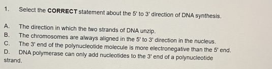 Select the CORRECT statement about the 5° to 3' direction of DNA synthesis.
A. The direction in which the two strands of DNA unzip.
B. The chromosomes are always aligned in the 5' to 3' direction in the nucleus.
C. The 3' end of the polynucleotide molecule is more electronegative than the 5' end.
D. DNA polymerase can only add nucleotides to the 3' end of a polynucleotide
strand.