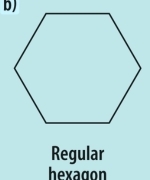 Regular
hexagon