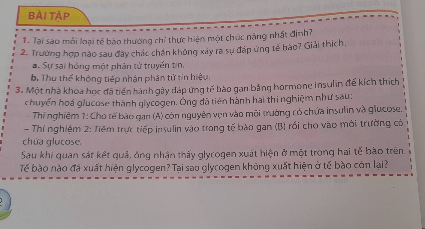 BÀi Tập
1. Tại sao mỗi loại tế bào thường chỉ thực hiện một chức năng nhất định?
2. Trường hợp nào sau đây chắc chắn không xảy ra sự đáp ứng tế bào? Giải thích.
a. Sự sai hỏng một phân tử truyền tin.
b. Thụ thể không tiếp nhận phân tử tín hiệu.
3. Một nhà khoa học đã tiến hành gây đáp ứng tế bào gan bằng hormone insulin để kích thích
chuyển hoá glucose thành glycogen. Ông đã tiến hành hai thí nghiệm như sau:
- Thí nghiệm 1: Cho tế bào gan (A) còn nguyên vẹn vào môi trường có chứa insulin và glucose.
- Thí nghiệm 2: Tiêm trực tiếp insulin vào trong tế bào gan (B) rồi cho vào môi trường có
chứa glucose.
Sau khi quan sát kết quả, ông nhận thấy glycogen xuất hiện ở một trong hai tế bào trên.
Tế bào nào đã xuất hiện glycogen? Tại sao glycogen không xuất hiện ở tế bào còn lại?