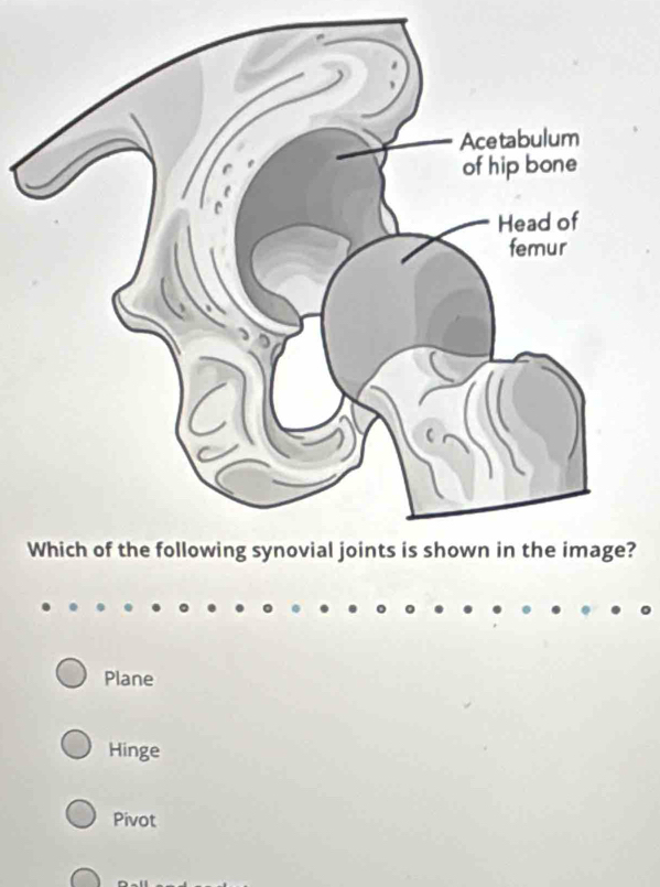 ?
Plane
Hinge
Pivot