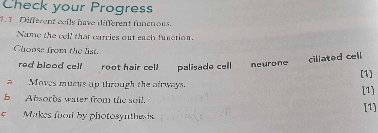 Check your Progress
1.1 Different cells have different functions.
Name the cell that carries out each function.
Choose from the list.
ciliated cell
red blood cell root hair cell palisade cell neurone
[1]
a Moves mucus up through the airways.
[1]
b Absorbs water from the soil.
[1]
c Makes food by photosynthesis.