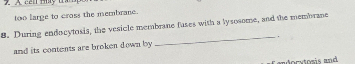 A cel may tran 
too large to cross the membrane. 
8. During endocytosis, the vesicle membrane fuses with a lysosome, and the membrane 
and its contents are broken down by _ . 
ndocy tosis and