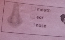 mouth 
ear 
nose