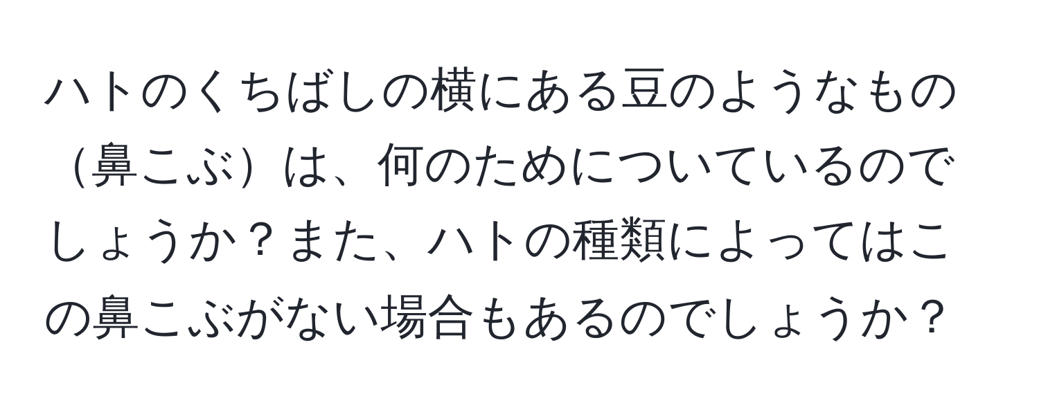 ハトのくちばしの横にある豆のようなもの鼻こぶは、何のためについているのでしょうか？また、ハトの種類によってはこの鼻こぶがない場合もあるのでしょうか？