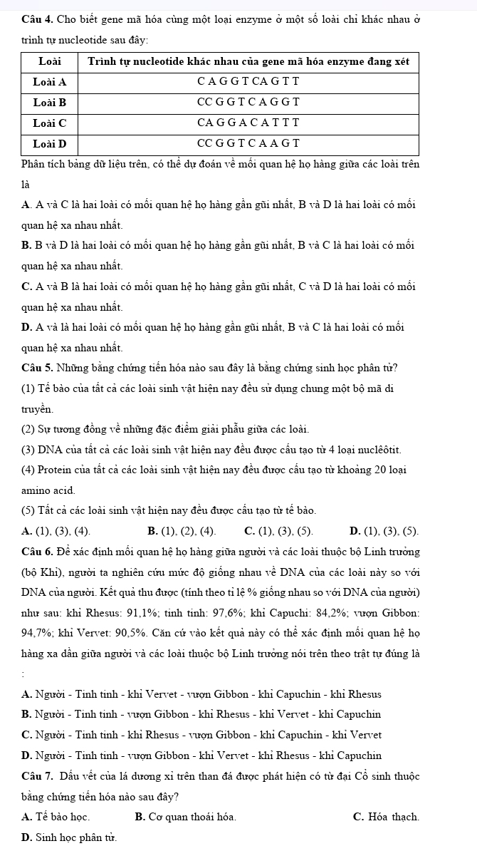 Cho biết gene mã hóa cùng một loại enzyme ở một số loài chỉ khác nhau ở
trình tự nucleotide sau đây:
Phân tích bảng dữ liệu trên, có thể dự đoán về mối quan hệ họ hàng giữa các loài trên
là
A. A và C là hai loài có mối quan hệ họ hàng gần gũi nhất, B và D là hai loài có mối
quan hệ xa nhau nhất.
B. B và D là hai loài có mối quan hệ họ hàng gần gũi nhất, B và C là hai loài có mối
quan hệ xa nhau nhất.
C. A và B là hai loài có mối quan hệ họ hàng gần gũi nhất, C và D là hai loài có mối
quan hệ xa nhau nhất.
D. A và là hai loài có mối quan hệ họ hàng gần gũi nhất, B và C là hai loài có mối
quan hệ xa nhau nhất.
Câu 5. Những bằng chứng tiến hóa nào sau đây là bằng chứng sinh học phân tử?
(1) Tể bào của tất cả các loài sinh vật hiện nay đều sử dụng chung một bộ mã di
truyền.
(2) Sự tương đồng về những đặc điểm giải phẫu giữa các loài.
(3) DNA của tất cả các loài sinh vật hiện nay đều được cầu tạo từ 4 loại nuclêôtit.
(4) Protein của tất cả các loài sinh vật hiện nay đều được cầu tạo từ khoảng 20 loại
amino acid.
(5) Tất cả các loài sinh vật hiện nay đều được cầu tạo từ tế bảo.
A. (1), (3), (4). B. (1), (2), (4). C. (1), (3), (5). D. (1), (3), (5).
Câu 6. Để xác định mối quan hệ họ hàng giữa người và các loài thuộc bộ Linh trưởng
(bộ Khi), người ta nghiên cứu mức độ giống nhau về DNA của các loài này so với
DNA của người. Kết quả thu được (tính theo tỉ lệ % giống nhau so với DNA của người)
như sau: khỉ Rhesus: 91,1%; tinh tinh: 97,6%; khỉ Capuchi: 84,2%; vượn Gibbon:
94,7%; khỉ Vervet: 90,5%. Căn cứ vào kết quả này có thể xác định mối quan hệ họ
hàng xa dần giữa người và các loài thuộc bộ Linh trưởng nói trên theo trật tự đúng là
A. Người - Tinh tinh - khỉ Vervet - vượn Gibbon - khỉ Capuchin - khỉ Rhesus
B. Người - Tinh tinh - vượn Gibbon - khỉ Rhesus - khỉ Vervet - khỉ Capuchin
C. Người - Tinh tinh - khỉ Rhesus - vượn Gibbon - khỉ Capuchin - khỉ Vervet
D. Người - Tinh tinh - vượn Gibbon - khỉ Vervet - khỉ Rhesus - khỉ Capuchin
Câu 7. Dấu vết của lá dương xỉ trên than đá được phát hiện có từ đại Cổ sinh thuộc
bằng chứng tiển hóa nào sau đây?
A. Tể bào học. B. Cơ quan thoái hóa. C. Hóa thạch.
D. Sinh học phân tử.