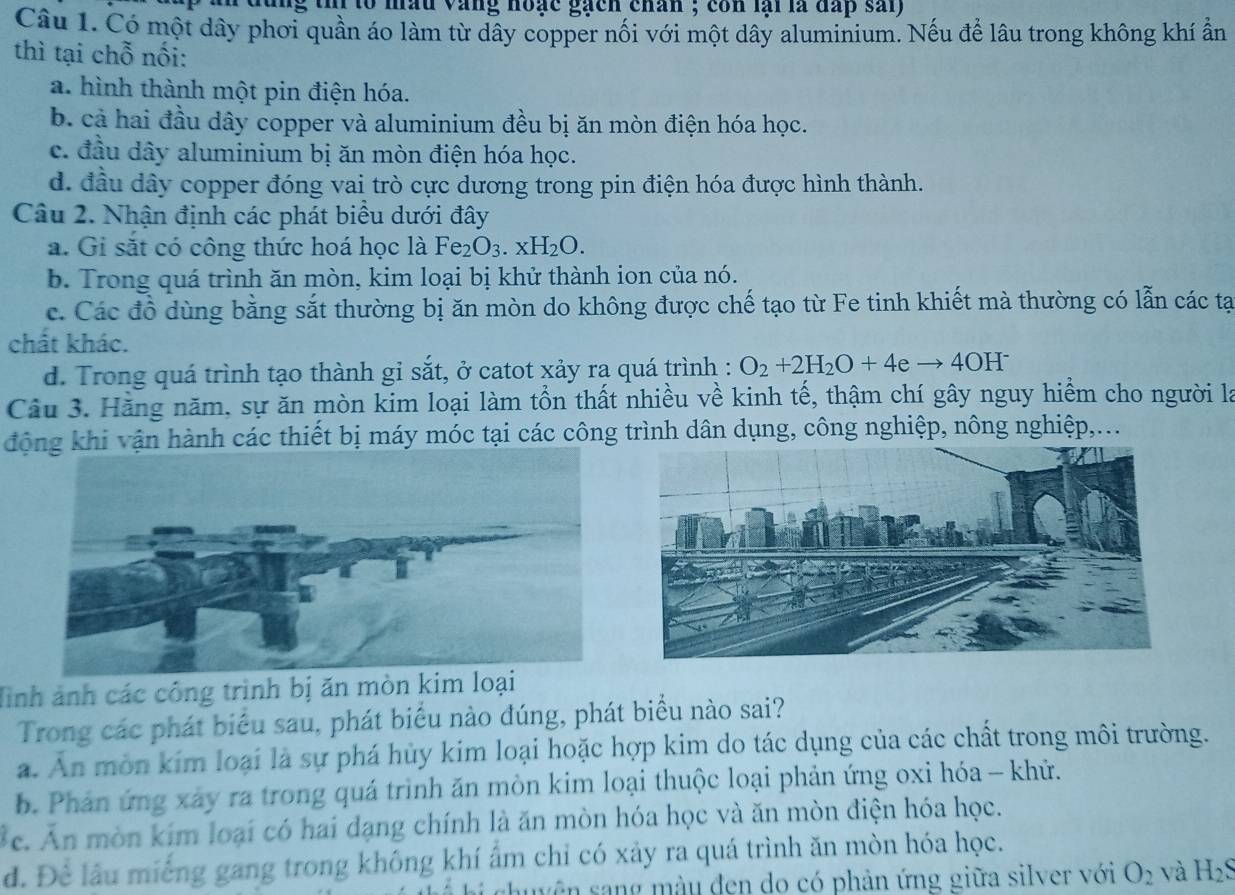 tm to mầu vàng hoặc gach chân ; con lại là đấp sai  
Câu 1. Có một dây phơi quần áo làm từ dây copper nối với một dây aluminium. Nếu để lâu trong không khí ẩn
thì tại chỗ nối:
a. hình thành một pin điện hóa.
b. cả hai đầu dây copper và aluminium đều bị ăn mòn điện hóa học.
c. đầu dây aluminium bị ăn mòn điện hóa học.
d. đầu dây copper đóng vai trò cực dương trong pin điện hóa được hình thành.
Câu 2. Nhận định các phát biểu dưới đây
a. Gi sắt có công thức hoá học là Fe_2O_3.xH_2O.
b. Trong quá trình ăn mòn, kim loại bị khử thành ion của nó.
c. Các đồ dùng bằng sắt thường bị ăn mòn do không được chế tạo từ Fe tinh khiết mà thường có lẫn các tạ
chất khác.
d. Trong quá trình tạo thành gỉ sắt, ở catot xảy ra quá trình : O_2+2H_2O+4eto 4OH^-
Câu 3. Hãng năm, sự ăn mòn kim loại làm tổn thất nhiều về kinh tế, thậm chí gây nguy hiểm cho người là
động khi vận hành các thiết bị máy móc tại các công trình dân dụng, công nghiệp, nông nghiệp,...
Hình ảnh các công trình bị ăn mòn kim loại
Trong các phát biểu sau, phát biểu nào đúng, phát biểu nào sai?
a. An mòn kim loại là sự phá hùy kim loại hoặc hợp kim do tác dụng của các chất trong môi trường.
b. Phản ứng xảy ra trong quá trình ăn mòn kim loại thuộc loại phản ứng oxi hóa - khử.
*c. Ăn mòn kim loại có hai dạng chính là ăn mòn hóa học và ăn mòn điện hóa học.
d. Để lâu miếng gang trong không khí ẩm chỉ có xảy ra quá trình ăn mòn hóa học.
u yện sang màu đen do có phản ứng giữa silver với O_2 và H_2S