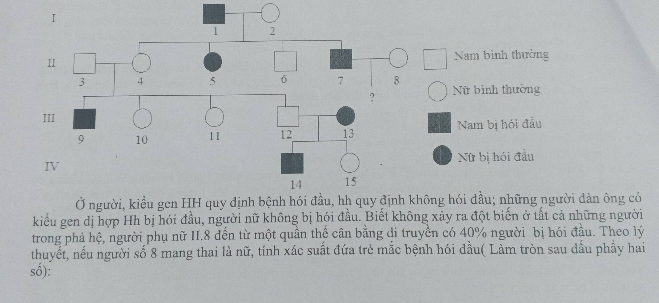 Nam bình thường
Nữ bình thường
Nam bị hói đầu
Nữ bị hói đầu
ng hói đầu; những người đàn ông có
kiểu gen dị hợp Hh bị hói đầu, người nữ không bị hói đầu. Biết không xảy ra đột biến ở tất cả những người
trong phả hệ, người phụ nữ II. 8 đến từ một quần thể cân bằng di truyền có 40% người bị hói đầu. Theo lý
thuyết, nếu người số 8 mang thai là nữ, tính xác suất đứa trẻ mắc bệnh hói đầu( Làm tròn sau dấu phầy hai
số):