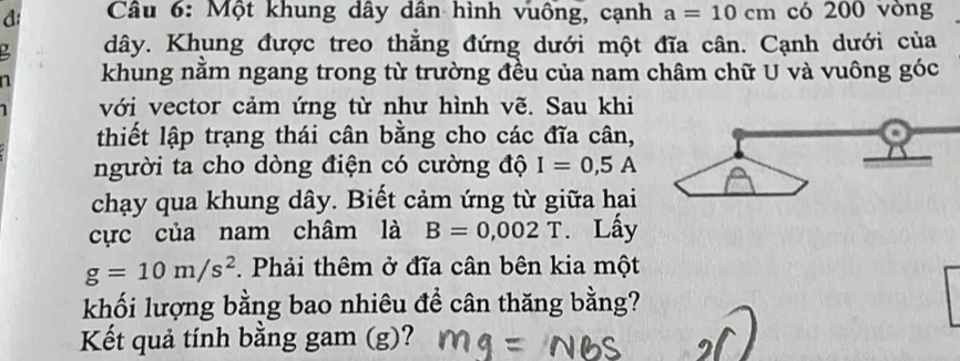 d: Câu 6: Một khung dây dân hình vuông, cạnh a=10cm có 200 vòng
dây. Khung được treo thẳng đứng dưới một đĩa cân. Cạnh dưới của 
a khung nằm ngang trong từ trường đều của nam châm chữ U và vuông góc 
1 với vector cảm ứng từ như hình vẽ. Sau khi 
thiết lập trạng thái cân bằng cho các đĩa cân, 
người ta cho dòng điện có cường độ I=0,5A
chạy qua khung dây. Biết cảm ứng từ giữa hai 
cực của nam châm là B=0,002T. Lấy
g=10m/s^2. Phải thêm ở đĩa cân bên kia một 
khối lượng bằng bao nhiêu để cân thăng bằng? 
Kết quả tính bằng gam (g)?