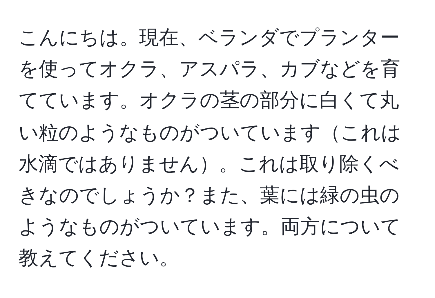 こんにちは。現在、ベランダでプランターを使ってオクラ、アスパラ、カブなどを育てています。オクラの茎の部分に白くて丸い粒のようなものがついていますこれは水滴ではありません。これは取り除くべきなのでしょうか？また、葉には緑の虫のようなものがついています。両方について教えてください。