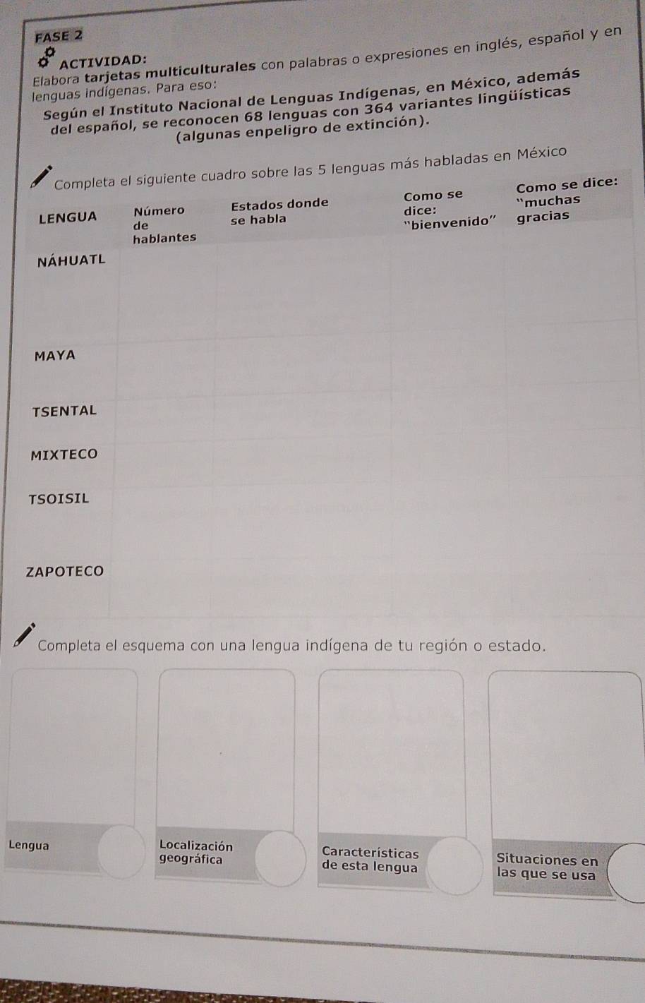 FASE 2 
Elabora tarjetas multiculturales con palabras o expresiones en inglés, español y en 
ACTIVIDAD: 
lenguas indígenas. Para eso: 
Según el Instituto Nacional de Lenguas Indígenas, en México, además 
del español, se reconocen 68 lenguas con 364 variantes lingüísticas 
(algunas enpeligro de extinción). 
ás habladas en México 
Completa el esquema con una lengua indígena de tu región o estado. 
Lengua Localización Características Situaciones en 
geográfica de esta lengua las que se usa