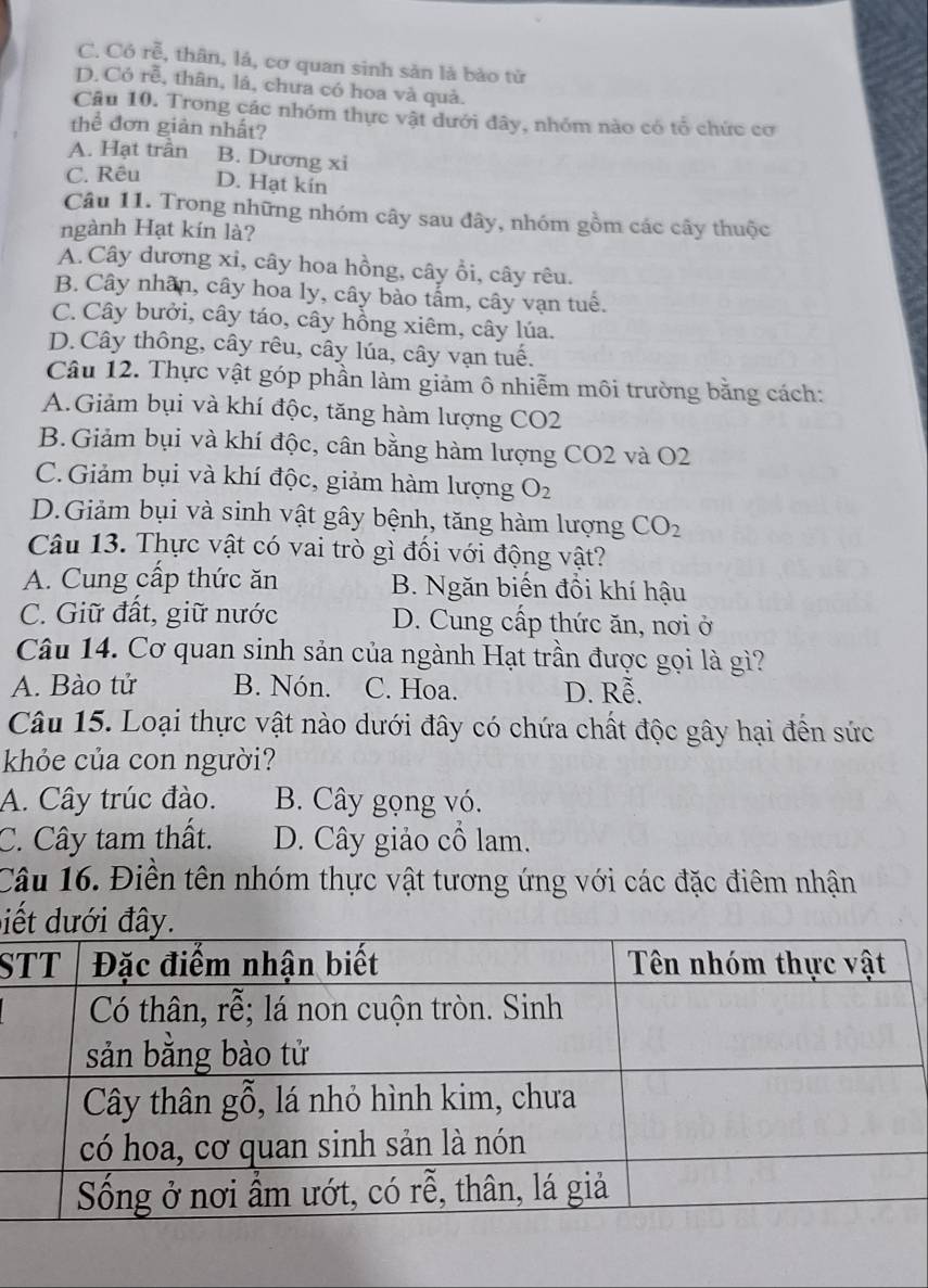 C. Có rễ, thân, lá, cơ quan sinh sản là bảo từ
D. Có rễ, thân, lá, chưa có hoa và quả.
Câu 10. Trong các nhóm thực vật dưới đây, nhóm nào có tổ chức cơ
thể đơn giản nhất?
A. Hạt trần B. Dương xi
C. Rêu D. Hạt kin
Câu 11. Trong những nhóm cây sau đây, nhóm gồm các cây thuộc
ngành Hạt kín là?
A. Cây dương xi, cây hoa hồng, cây ổi, cây rêu.
B. Cây nhân, cây hoa ly, cây bào tẩm, cây vạn tuế.
C. Cây bưởi, cây táo, cây hồng xiêm, cây lúa.
D.Cây thông, cây rêu, cây lúa, cây vạn tuế.
Câu 12. Thực vật góp phần làm giảm ô nhiễm môi trường bằng cách:
A.Giảm bụi và khí độc, tăng hàm lượng CO2
B. Giảm bụi và khí độc, cân bằng hàm lượng CO2 và O2
C.Giảm bụi và khí độc, giảm hàm lượng O_2
D.Giảm bụi và sinh vật gây bệnh, tăng hàm lượng CO_2
Câu 13. Thực vật có vai trò gì đối với động vật?
A. Cung cấp thức ăn B. Ngăn biến đồi khí hậu
C. Giữ đất, giữ nước D. Cung cấp thức ăn, nơi ở
Câu 14. Cơ quan sinh sản của ngành Hạt trần được gọi là gì?
A. Bào tử B. Nón. C. Hoa. D. Rhat e
Câu 15. Loại thực vật nào dưới đây có chứa chất độc gây hại đến sức
khỏe của con người?
A. Cây trúc đào. B. Cây gọng vó.
C. Cây tam thất. D. Cây giảo cổ lam.
Câu 16. Điền tên nhóm thực vật tương ứng với các đặc điêm nhận
iết dưới đây.
S