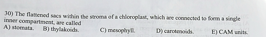 The flattened sacs within the stroma of a chloroplast, which are connected to form a single
inner compartment, are called
A) stomata. B) thylakoids. C) mesophyll. D) carotenoids. E) CAM units.