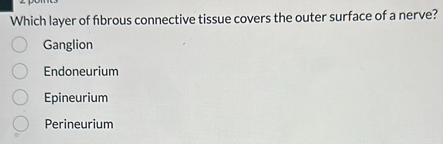 Which layer of fibrous connective tissue covers the outer surface of a nerve?
Ganglion
Endoneurium
Epineurium
Perineurium