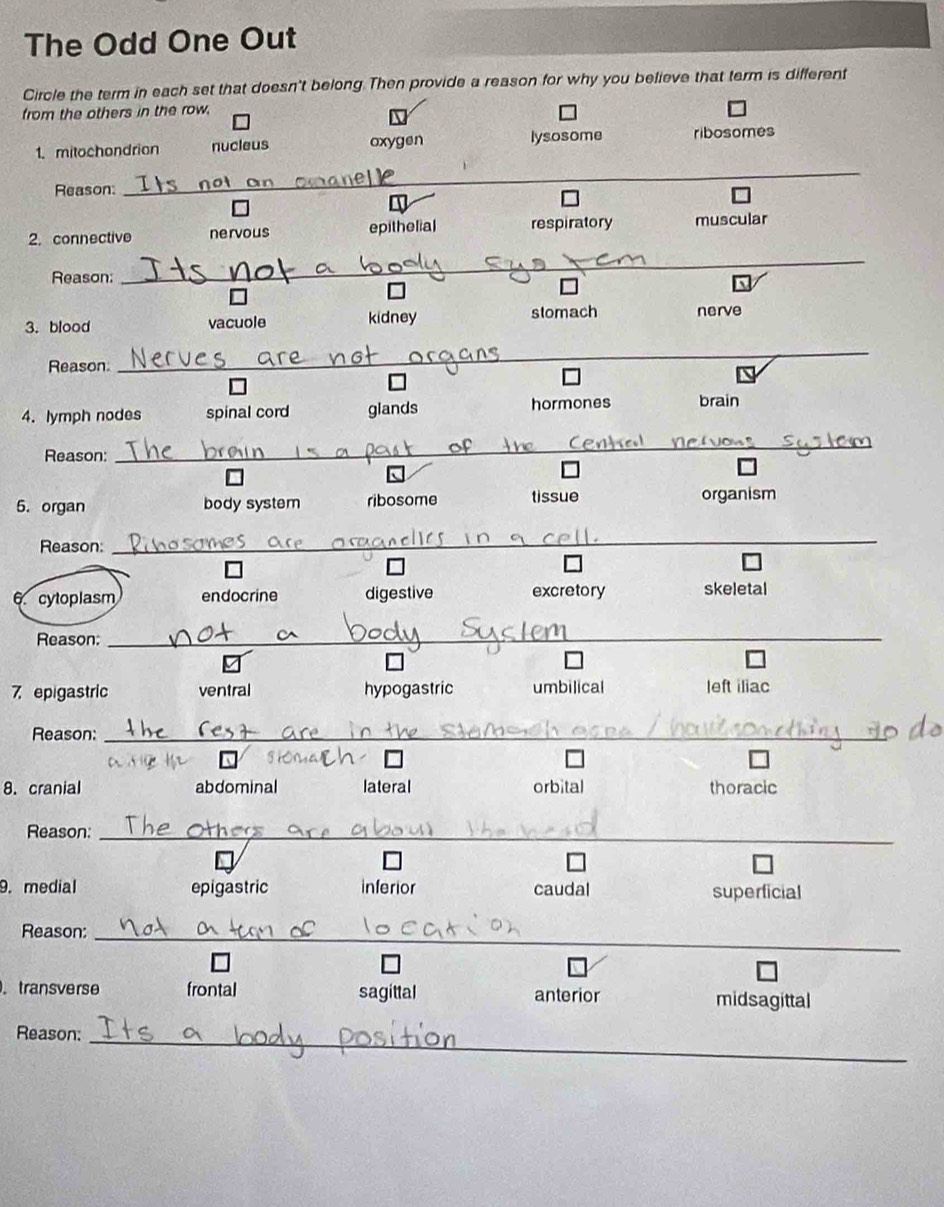 The Odd One Out
Circle the term in each set that doesn't belong Then provide a reason for why you believe that term is different
from the others in the row.
1. mitochondrion nucleus oxygen lysosome ribosomes
Reason:
_
2. connective nervous epithelial respiratory muscular
Reason:
_
3. blood vacuole kidney stomach nerve
Reason.
_
4. lymph nodes spinal cord glands hormones brain
Reason:
_
6. organ body system ribosome tissue organism
Reason:
_
6. cytoplasm endocrine digestive excretory skeletal
Reason:
_
7 epigastric ventral hypogastric umbilical left iliac
Reason:_
8. cranial abdominal lateral orbital thoracic
Reason:_
9. medial epigastric inferior caudal superficial
Reason:_
transverse frontal sagittal anterior midsagittal
_
Reason: