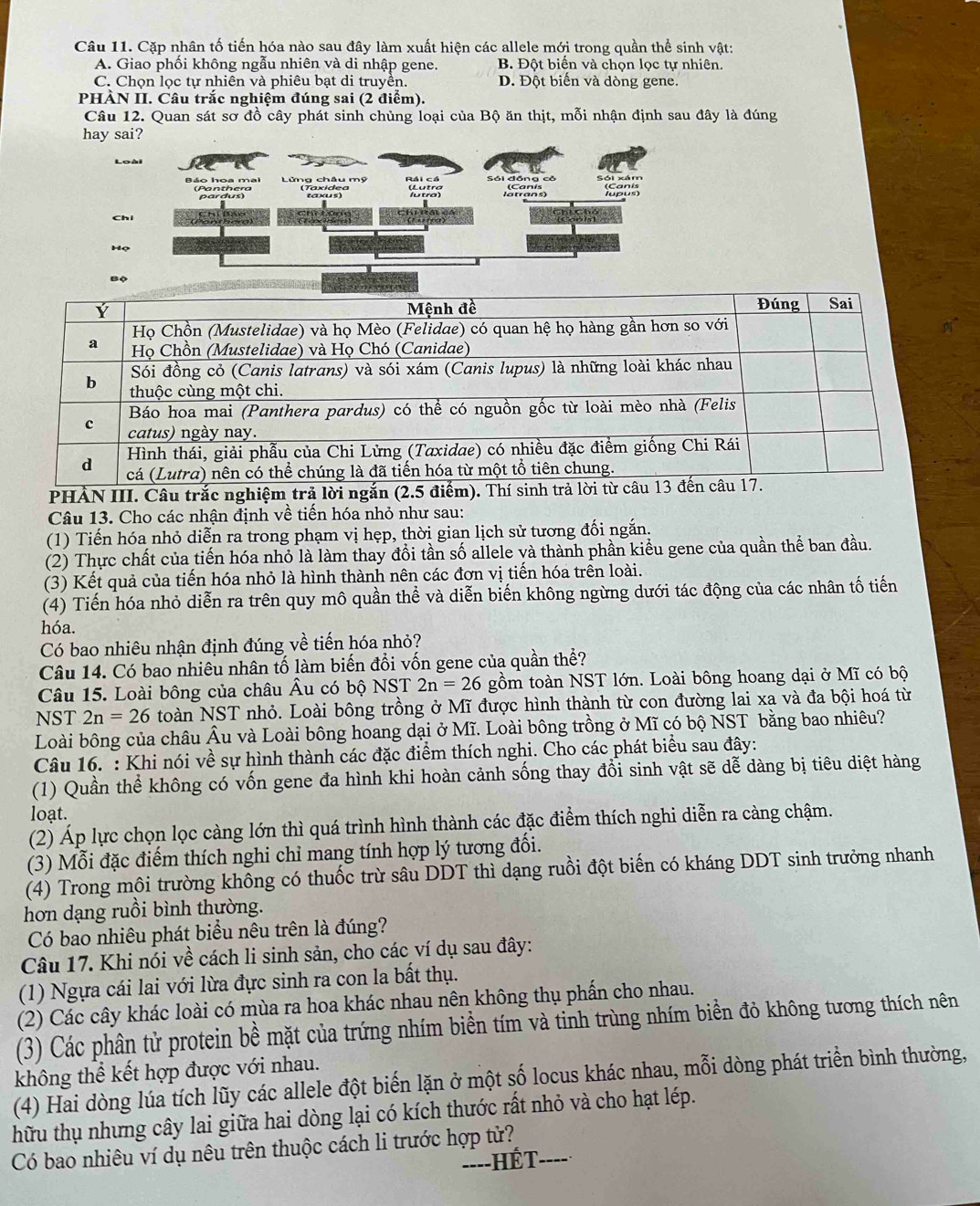 Cặp nhân tố tiến hóa nào sau đây làm xuất hiện các allele mới trong quần thể sinh vật:
A. Giao phối không ngẫu nhiên và di nhập gene. B. Đột biến và chọn lọc tự nhiên.
C. Chọn lọc tự nhiên và phiêu bạt di truyền. D. Đột biến và dòng gene.
PHÀN II. Câu trắc nghiệm đúng sai (2 điểm).
Câu 12. Quan sát sơ đồ cây phát sinh chùng loại của Bộ ăn thịt, mỗi nhận định sau đây là đúng
hay sai?
Loài
Báo hoa mai (Panthera  Lửng châu mỹ    
Taxs
Họ
Bộ
PHẢN III. Câu trắc nghiệm trả l
Câu 13. Cho các nhận định về tiến hóa nhỏ như sau:
(1) Tiến hóa nhỏ diễn ra trong phạm vị hẹp, thời gian lịch sử tương đối ngắn.
(2) Thực chất của tiến hóa nhỏ là làm thay đồi tần số allele và thành phần kiểu gene của quần thể ban đầu.
(3) Kết quả của tiến hóa nhỏ là hình thành nên các đơn vị tiến hóa trên loài.
(4) Tiến hóa nhỏ diễn ra trên quy mô quần thể và diễn biến không ngừng dưới tác động của các nhân tố tiến
hóa.
Có bao nhiêu nhận định đúng về tiến hóa nhỏ?
Câu 14. Có bao nhiêu nhân tố làm biến đổi vốn gene của quần thể?
Câu 15. Loài bông của châu Âu có bộ NST 2n=26 gồm toàn NST lớn. Loài bông hoang dại ở Mĩ có bộ
NST 2n=26 toàn NST nhỏ. Loài bông trồng ở Mĩ được hình thành từ con đường lai xa và đa bội hoá từ
Loài bông của châu Âu và Loài bông hoang dại ở Mĩ. Loài bông trồng ở Mĩ có bộ NST bằng bao nhiêu?
Câu 16. : Khi nói về sự hình thành các đặc điểm thích nghi. Cho các phát biểu sau đây:
(1) Quần thể không có vốn gene đa hình khi hoàn cảnh sống thay đổi sinh vật sẽ dễ dàng bị tiêu diệt hàng
loạt.
(2) Áp lực chọn lọc càng lớn thì quá trình hình thành các đặc điểm thích nghi diễn ra càng chậm.
(3) Mỗi đặc điểm thích nghi chỉ mang tính hợp lý tương đối.
(4) Trong môi trường không có thuốc trừ sâu DDT thì dạng ruồi đột biến có kháng DDT sinh trưởng nhanh
hơn dạng ruồi bình thường.
Có bao nhiêu phát biểu nêu trên là đúng?
Câu 17. Khi nói về cách li sinh sản, cho các ví dụ sau đây:
(1) Ngựa cái lai với lừa đực sinh ra con la bất thụ.
(2) Các cây khác loài có mùa ra hoa khác nhau nên không thụ phần cho nhau.
(3) Các phân tử protein bề mặt của trứng nhím biển tím và tinh trùng nhím biển đỏ không tương thích nên
không thể kết hợp được với nhau.
(4) Hai dòng lúa tích lũy các allele đột biến lặn ở một số locus khác nhau, mỗi dòng phát triển bình thường,
hữu thụ nhưng cây lai giữa hai dòng lại có kích thước rất nhỏ và cho hạt lép.
Có bao nhiêu ví dụ nêu trên thuộc cách li trước hợp tử?_
----HÉT