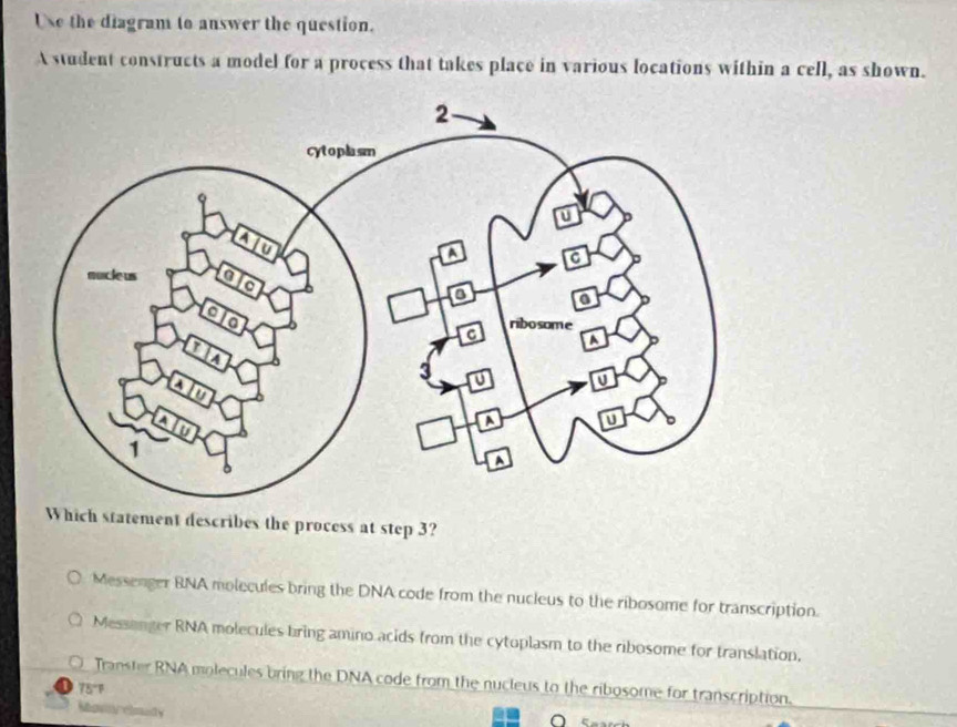 Use the diagram to answer the question.
A student constructs a model for a process that takes place in various locations within a cell, as shown.
Which statement describes the process at step 3?
Messenger BNA molecules bring the DNA code from the nucleus to the ribosome for transcription.
Messanger RNA molecules bring amino acids from the cytoplasm to the ribosome for translation,
Transter RNA molecules bring the DNA code from the nucleus to the ribosome for transcription.
75°P
Movyelmady