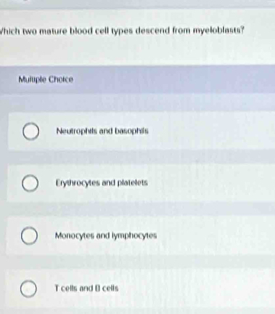 Which two mature blood cell types descend from myeloblasts?
Muluple Choice
Neutrophils and basophiis
Erythrocytes and platelets
Monocytes and lymphocytes
T cells and B cells