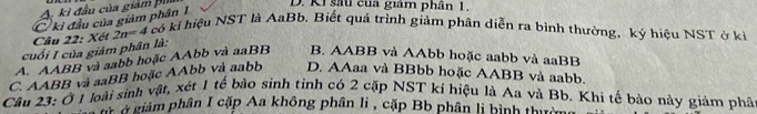 ki đầu của giám pha
ki đầu của giảm phân 1
D. Ki sau của giám phân 1.
Câu 22: Xét 2n=4
có kí hiệu NST là AaBb. Biết quá trình giảm phân diễn ra bình thường, ký hiệu NST ở kỉ
cuối I của giảm phân là:
A. AABB và aabb hoặc AAbb và aaBB B. AABB và AAbb hoặc aabb và aaBB
C. AABB và aaBB hoặc AAbb và aabb D. AAaa và BBbb hoặc AABB và aabb.
Câu 23: Ở 1 loài sinh vật, xét 1 tế bào sinh tinh có 2 cặp NST kí hiệu là Aa và Bb. Khi tế bảo này giám phât
Bàu à ciám phân I cặp Aa không phân li , cặp Bb phân lị bình thườ