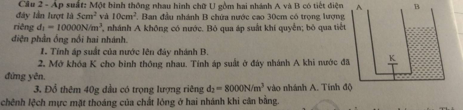 Áp suất: Một bình thông nhau hình chữ U gồm hai nhánh A và B có tiết diện 
đây lần lượt là 5cm^2 và 10cm^2. Ban đầu nhánh B chứa nước cao 30cm có trọng lượng 
riêng d_1=10000N/m^3 2, nhánh A không có nước. Bỏ qua áp suất khí quyển; bỏ qua tiết 
điện phần ống nối hai nhánh. 
1. Tính áp suất của nước lên đáy nhánh B. 
2. Mở khóa K cho bình thông nhau. Tính áp suất ở đáy nhánh A khi nước đ 
đứng yên. 
3. Đổ thêm 40g dầu có trọng lượng riêng d_2=8000N/m^3 vào nhánh A. Tính đ 
chênh lệch mực mặt thoáng của chất lỏng ở hai nhánh khi cân bằng.