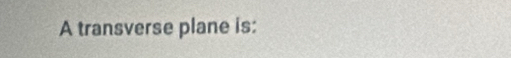 A transverse plane is: