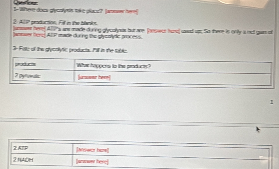 Cpesions 
I.-Where does glycolysis take place? (answer here) 
2AIP groduction. Fill in the banks. 
(answer here) ATP's are made during glycolysis but are (lanswer here) used up; So there is only a ret gain of 
(answer ftere) ATP made during the glycolytic process. 
3- Fate of the glycolytic products. Fill in tre table. 
2 ATP [answer here] 
2 NADH [answer here]