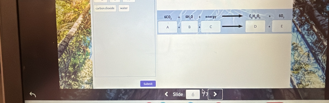 carbon dioxide water
6CO, 6H,O energy C_5H_12O_6 60
A + B C D + E
Submit 
Slide