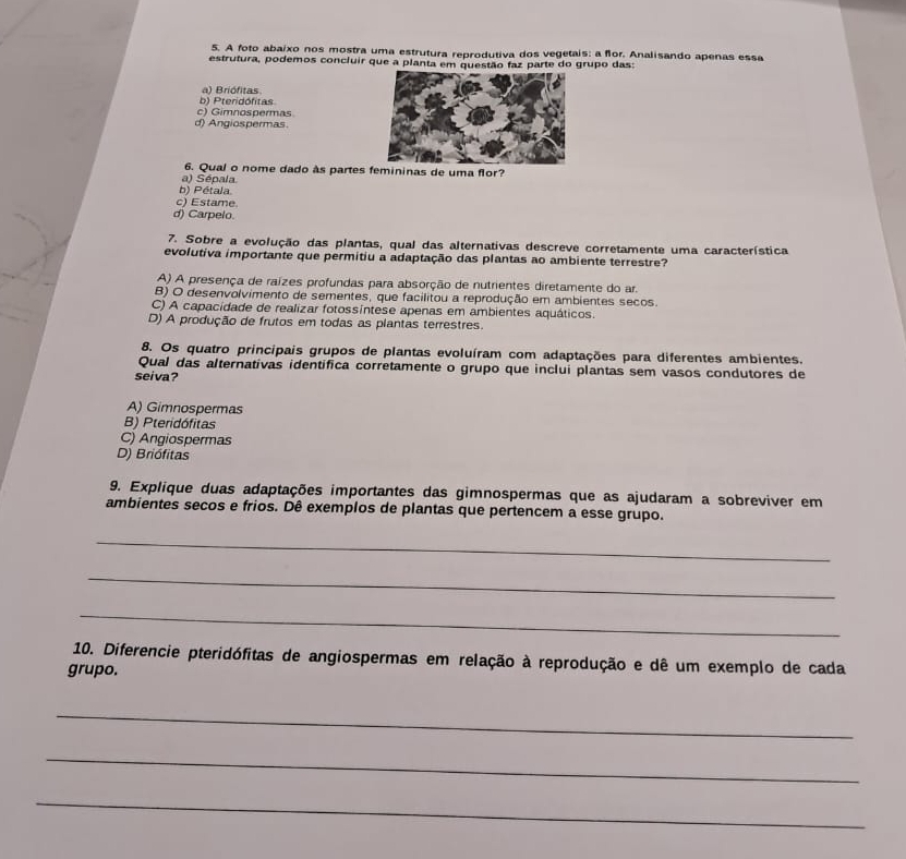 A foto abaixo nos mostra uma estrutura reprodutiva dos vegetais: a flor. Analisando apenas essa
estrutura, podemos concluir que a planta em questão faz parte do grupo das:
a) Briófitas
b) Pteridófitas
c) Gimnospermas
d) Angiospermas.
6. Qual o nome dado às partes femininas de uma flor?
a) Sépala
b) Pétala
c) Estame.
d) Carpelo.
7. Sobre a evolução das plantas, qual das alternativas descreve corretamente uma característica
evolutiva importante que permitiu a adaptação das plantas ao ambiente terrestre?
A) A presença de raízes profundas para absorção de nutrientes diretamente do ar.
B) O desenvolvimento de sementes, que facilitou a reprodução em ambientes secos.
C) A capacidade de realizar fotossíntese apenas em ambientes aquáticos.
D) A produção de frutos em todas as plantas terrestres.
8. Os quatro principais grupos de plantas evoluíram com adaptações para diferentes ambientes.
Qual das alternativas identifica corretamente o grupo que inclui plantas sem vasos condutores de
seiva?
A) Gimnospermas
B) Pteridófitas
C) Angiospermas
D) Briófitas
9. Explique duas adaptações importantes das gimnospermas que as ajudaram a sobreviver em
ambientes secos e frios. Dê exemplos de plantas que pertencem a esse grupo.
_
_
_
10. Diferencie pteridófitas de angiospermas em relação à reprodução e dê um exemplo de cada
grupo.
_
_
_